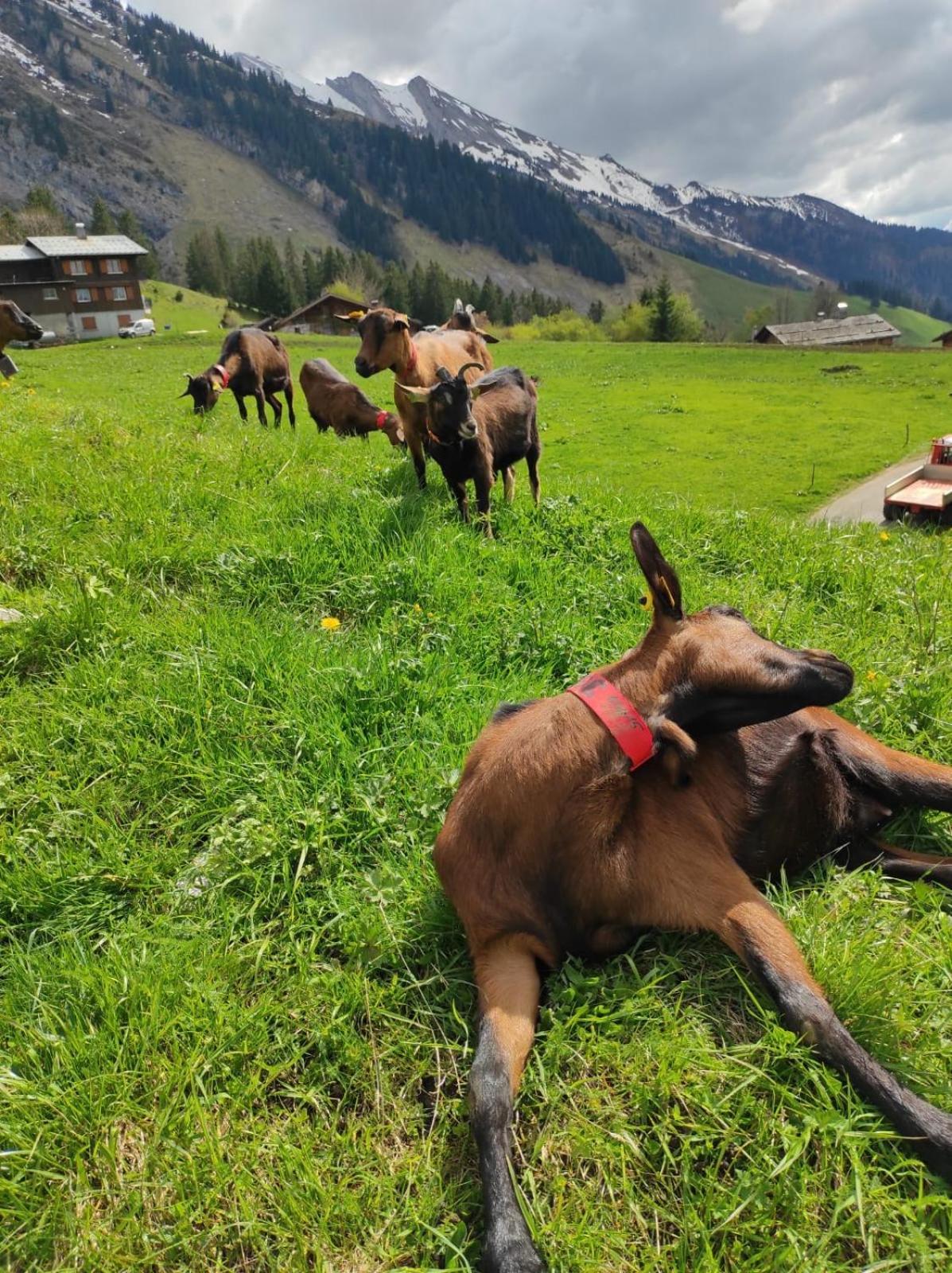 Le Week-End 3 Etoiles, Plein Centre Ville La Clusaz Εξωτερικό φωτογραφία